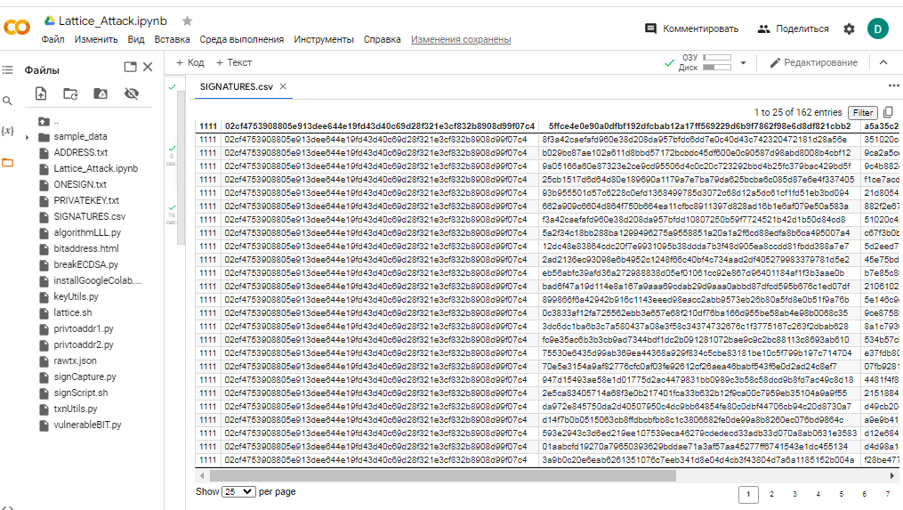 We propagated fake signatures for the Python script algorithmLLL.py